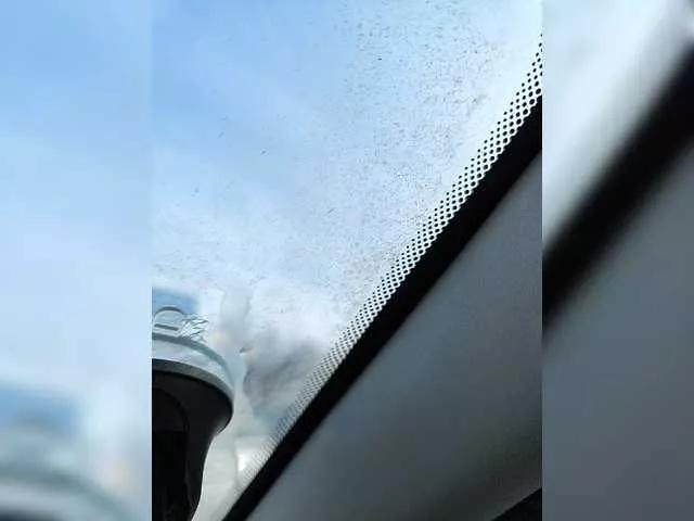 Offline Angelia22 on BongaCams