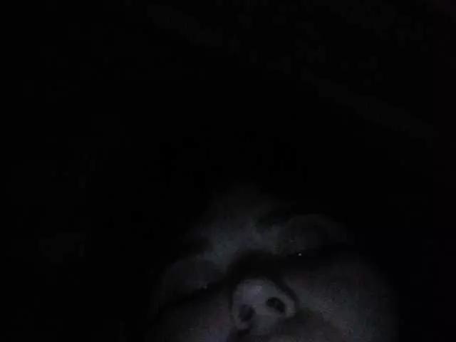 Offline AthomeTi on BongaCams