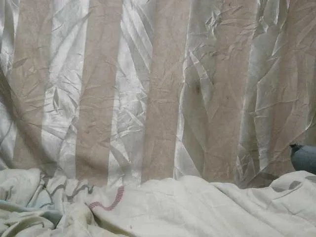 Freechat cute-mashall on BongaCams