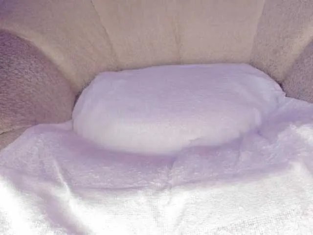 Freechat cutte-hanna18 on BongaCams