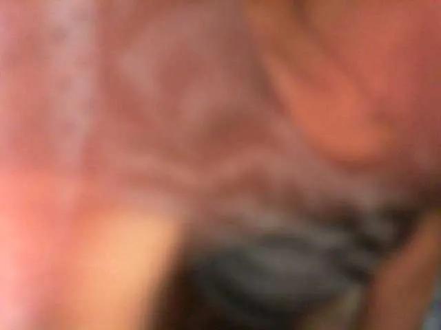 Offline Cyah2 on BongaCams