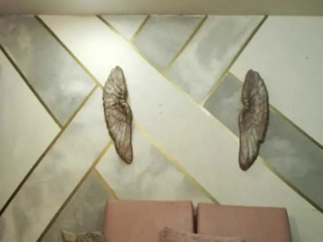 Freechat Cyrano-Roxana on BongaCams