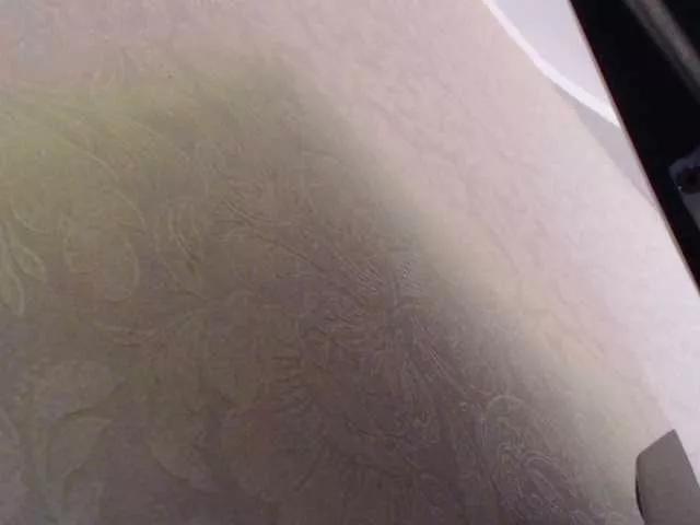 LolaTorr on BongaCams 