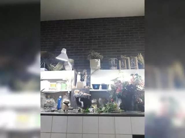 Offline RuslanaFlower on BongaCams