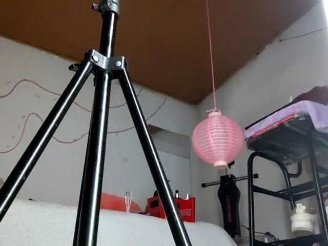 Freechat Shannon-kane on BongaCams