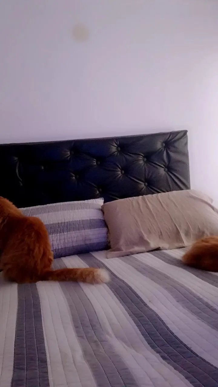 Offline Marubeltra on Cam4