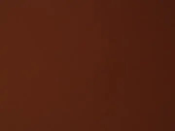 evelyn_sandoval on Chaturbate 