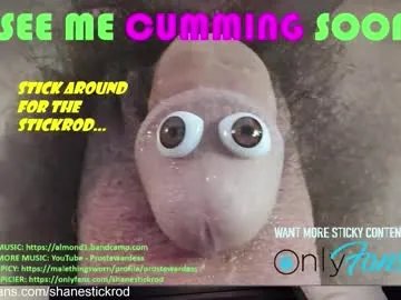 Freechat shanestickrod on Chaturbate