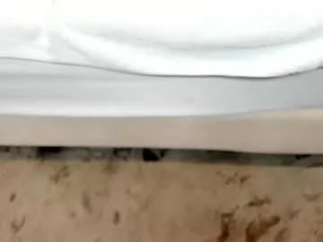 Freechat zara_lopez on Chaturbate