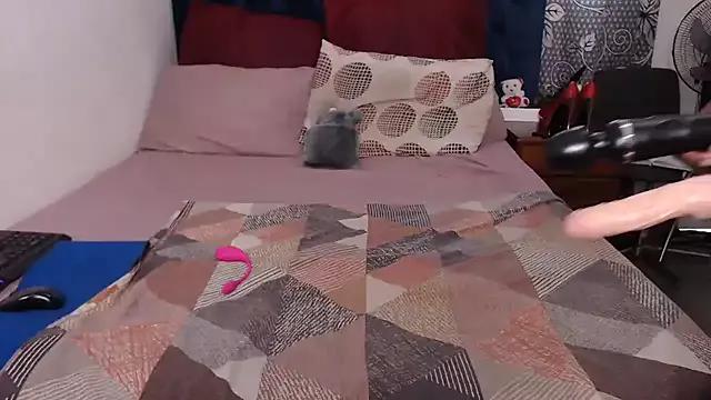 BootyCallEver on StripChat 